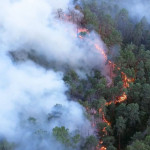 Incendie de Fontainebleau