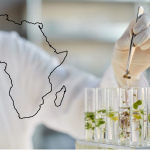 L’Afrique se tourne vers les biotechnologies végétales