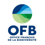 OFB