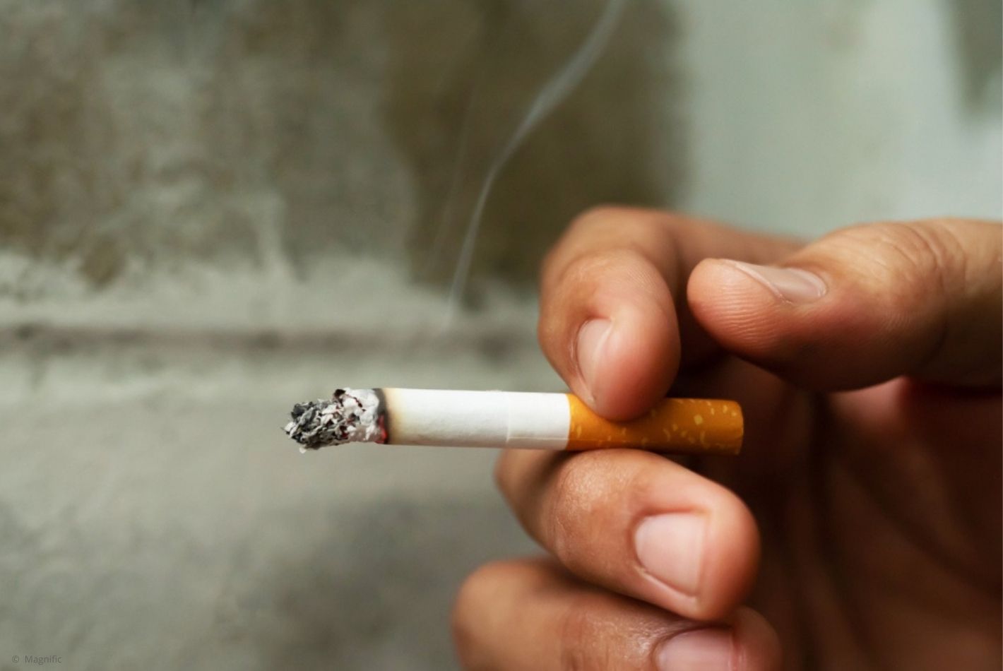 Tabagisme : lAssurance maladie soutient une proposition liberticide des écologistes