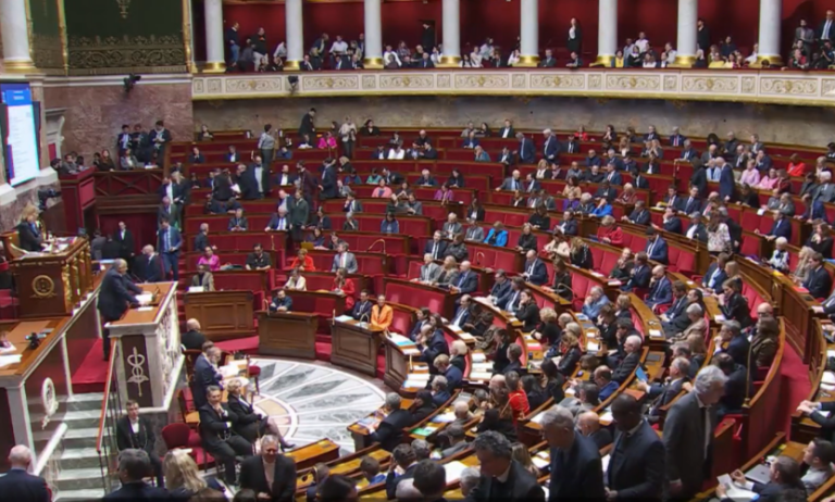 assemblee_nationale_capt_écran_franceinfo