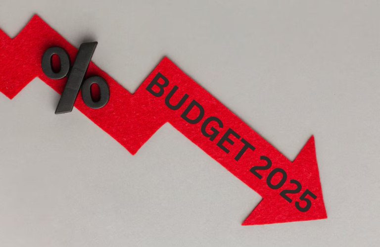 budget 2025_bayrou