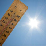 canicule (1)