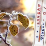 chaleurs extrêmes & grands froids