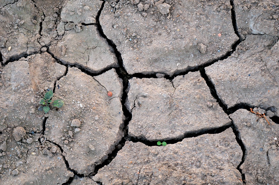 climate-change