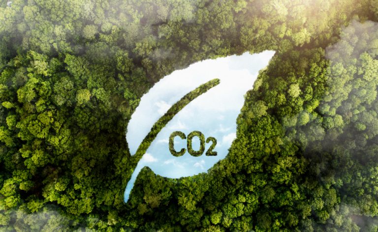feuille_verte_CO2_CC_freepik