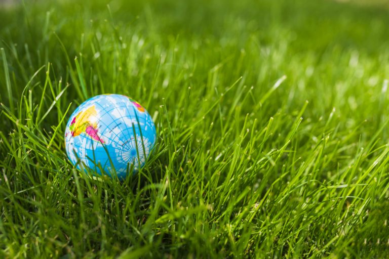 gros-plan-globe-herbe-verte-image-de-freepik