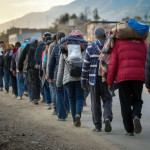 immigration-hubs de retour