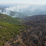 incendies forêts
