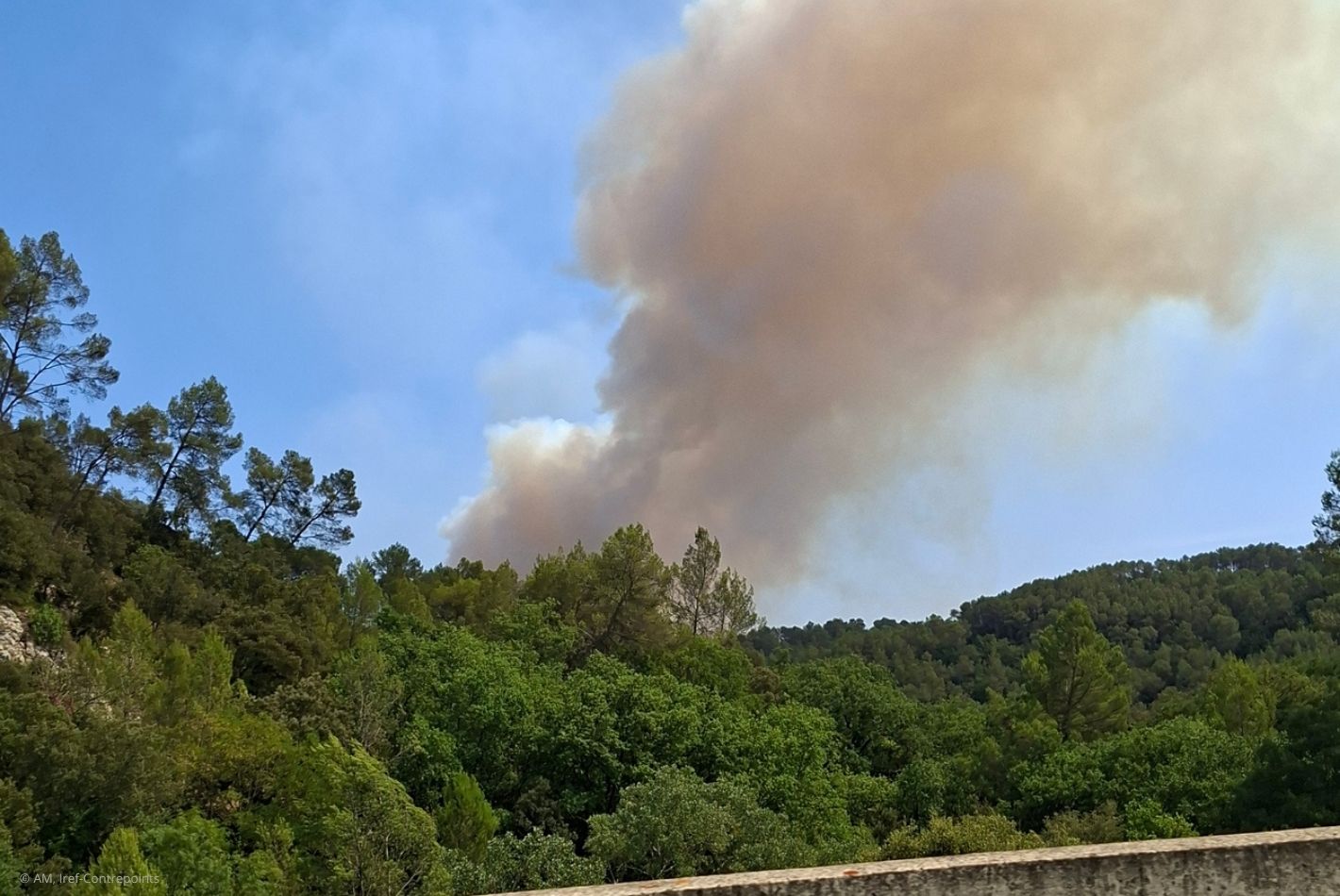 Incendies de forêt : au - delà du débat climatique , les enseignements de Fontainebleau et de lAquitaine