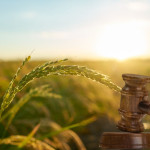 loi urgence agricole