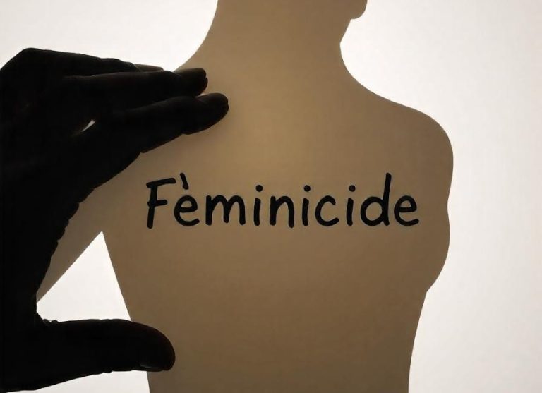 pikaso_texttoimage_silhouette-de-dos-dune-femme-avec-le-mot-Fminicide2