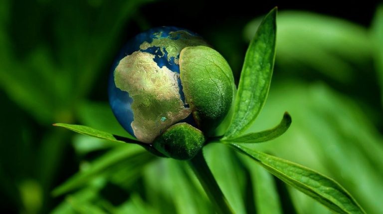 urgence climatique